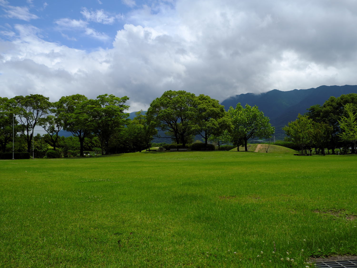 d0355116_19295942.jpg