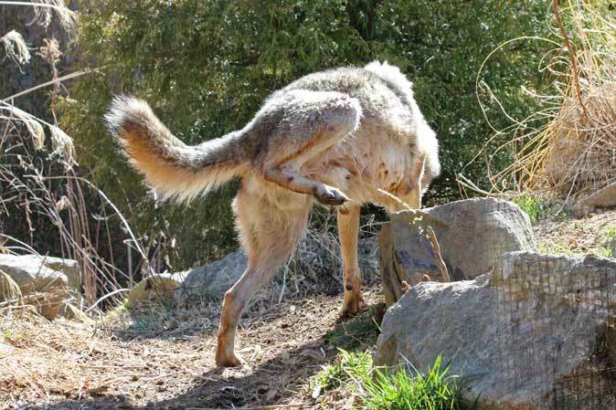 yz߂̂🧪1 YouTube>2{ ->摜>3 