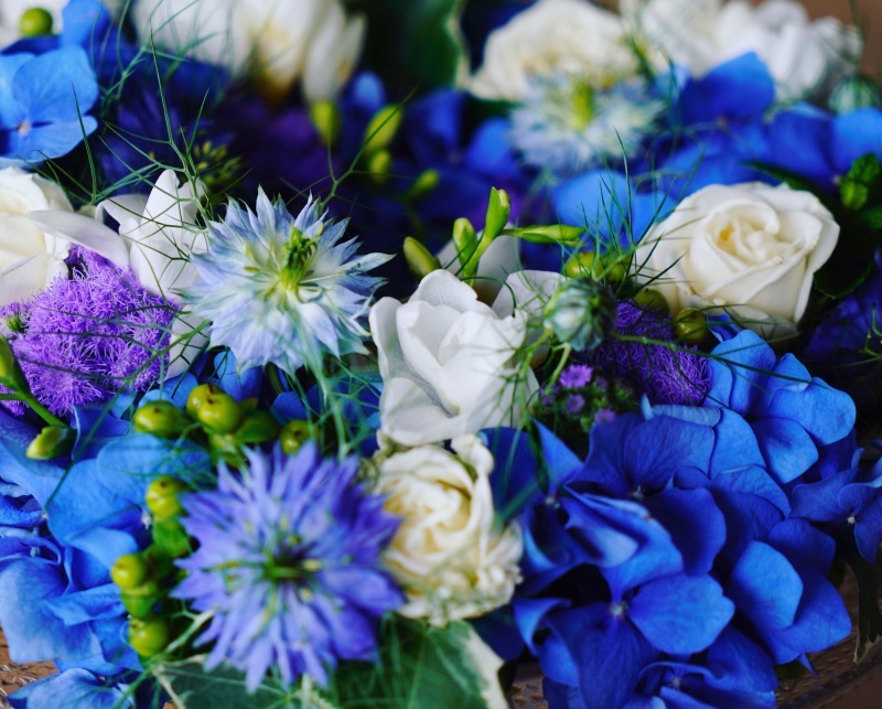 青い紫陽花を使って ベルギー フランダースのお庭より 青い紫陽花を使って ベルギー フランダースのお庭より