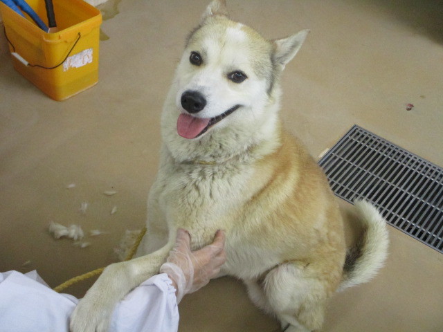 f0078320_01075447.jpg