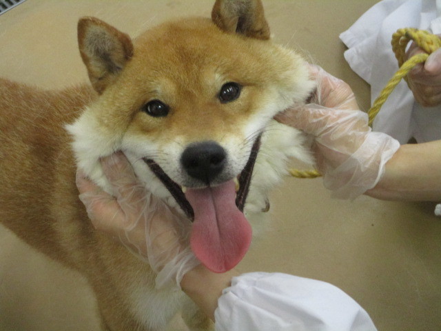 f0078320_01103773.jpg