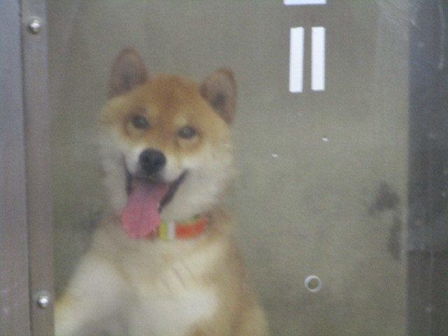 f0078320_01105835.jpg