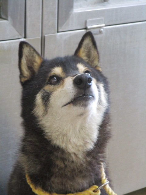 f0078320_01150988.jpg