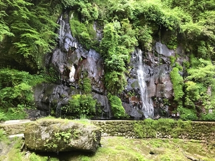 a0105023_07171556.jpg