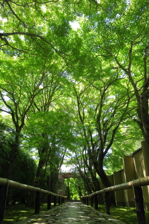 e0133025_22423790.jpg