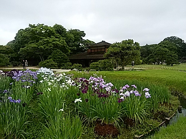 岡山  後楽園にて_a0370028_17184808.jpg