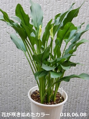 e0033229_19201220.jpg