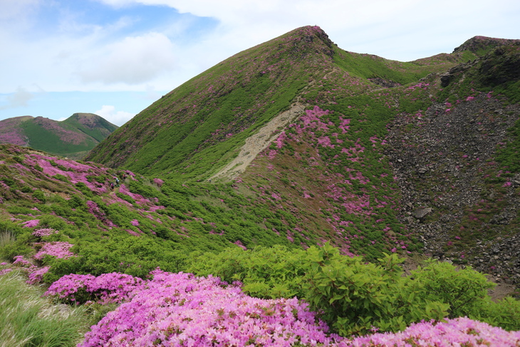 くじゅう連山（久住山＆天狗ヶ城＆中岳＆稲星山）のミヤマキリシマに感激！_e0272335_551226.jpg