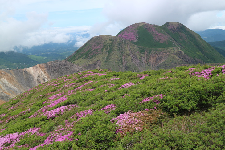 くじゅう連山（久住山＆天狗ヶ城＆中岳＆稲星山）のミヤマキリシマに感激！_e0272335_94206.jpg