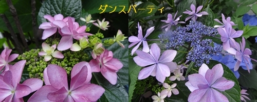a0084343_09554432.jpg