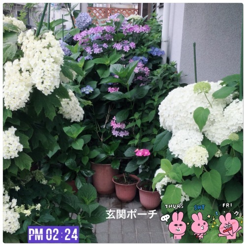 a0084343_14322509.jpeg