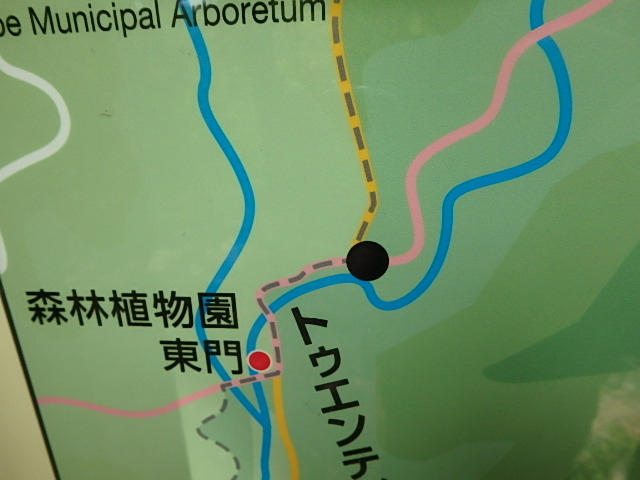f0334143_829235.jpg