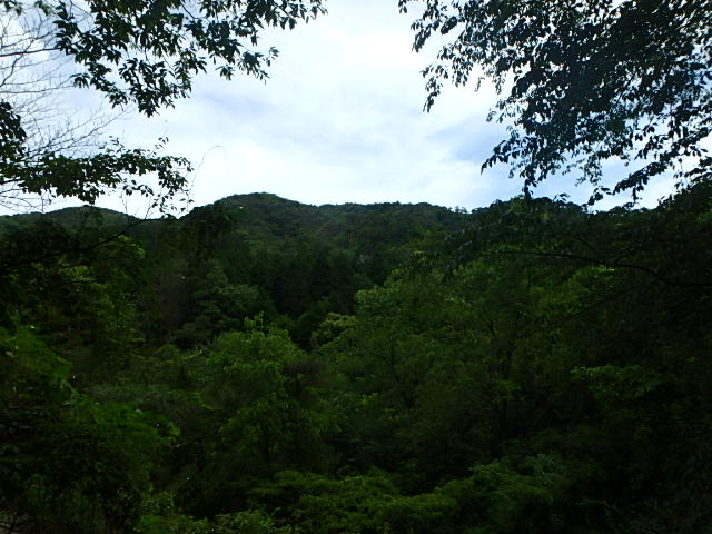 f0334143_8293111.jpg