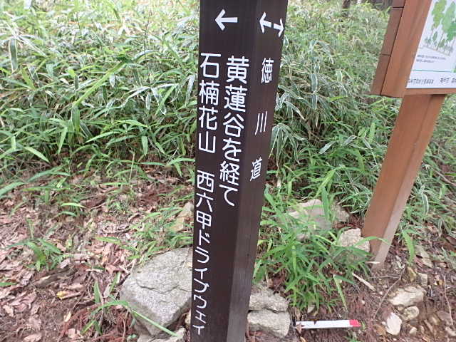 f0334143_8294975.jpg
