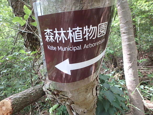 f0334143_8361947.jpg