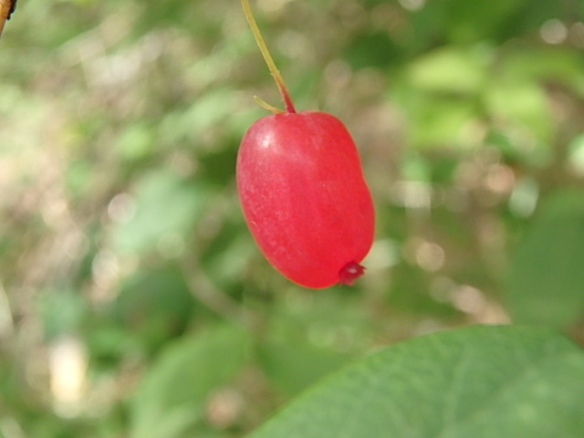 f0334143_8363150.jpg