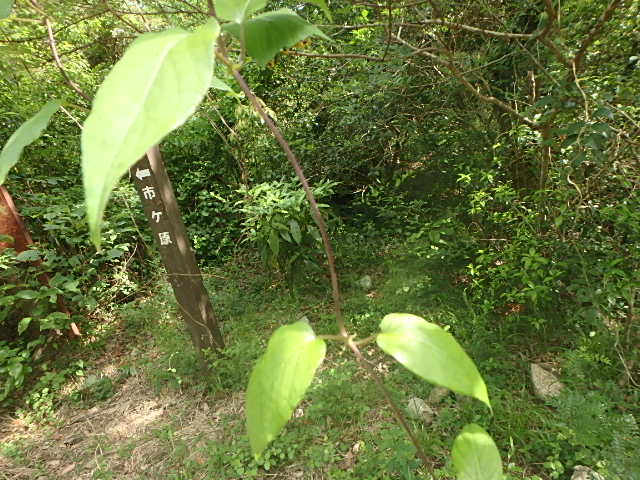 f0334143_8372882.jpg