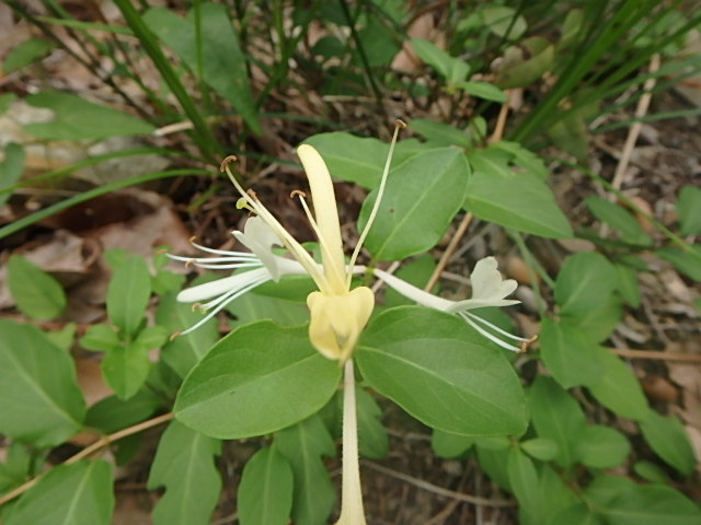 f0334143_837321.jpg