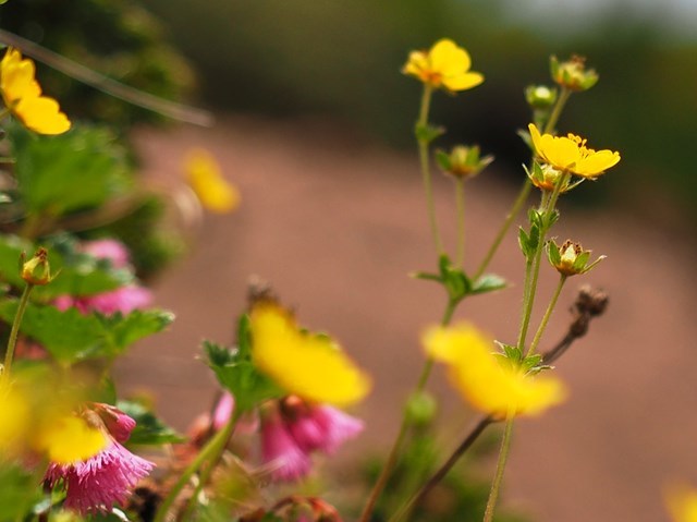c0081645_22403430.jpg