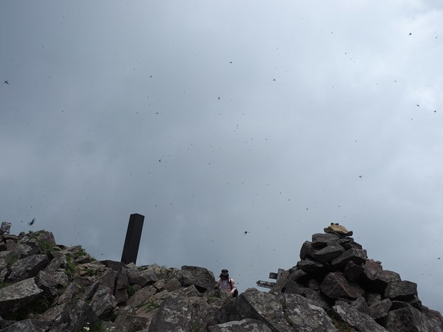 c0081645_22404920.jpg
