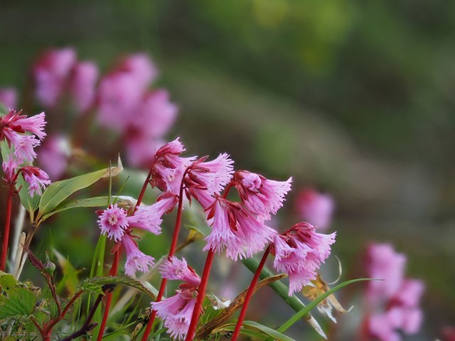 c0081645_22413415.jpg
