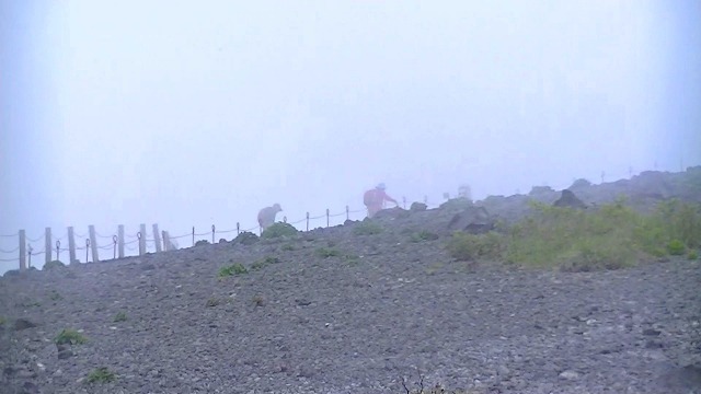 d0131847_21474032.jpg