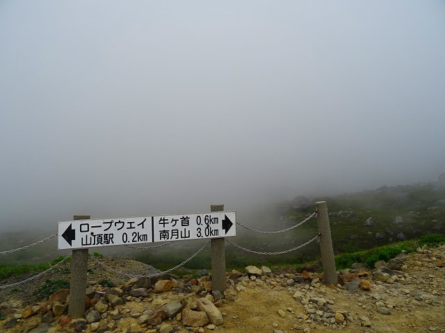 d0131847_21480800.jpg