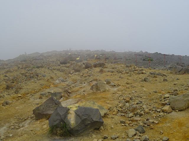 d0131847_22441613.jpg