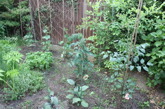 f0216148_17311680.jpg
