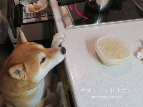 a0286855_05095982.gif