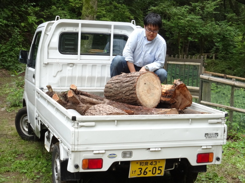 雨で定例活動日は中途半端な中止となった・・・孝子の森_c0108460_17174104.jpg