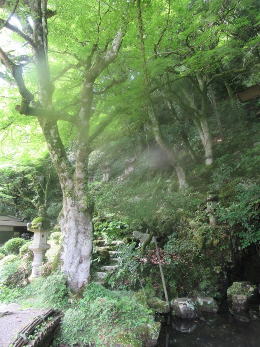 ふらっと画材さがし、気がつけば、奥津和野｢堀庭園」へ・・_f0113862_11583891.jpg