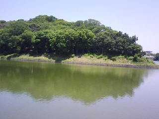 f0150767_11341575.jpg