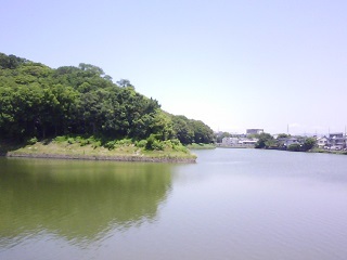 f0150767_11341948.jpg