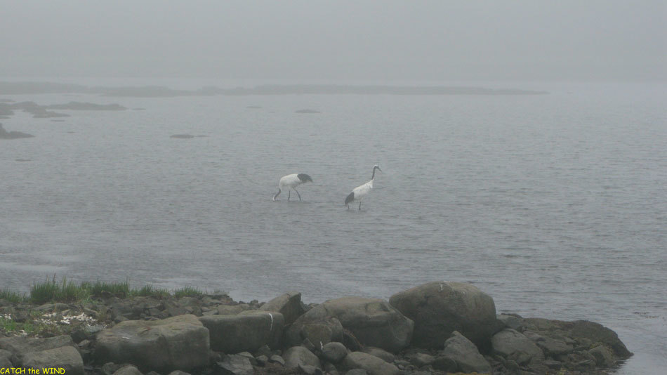 2017北海道の旅　7日目 7/22(土)_c0190971_16354088.jpg