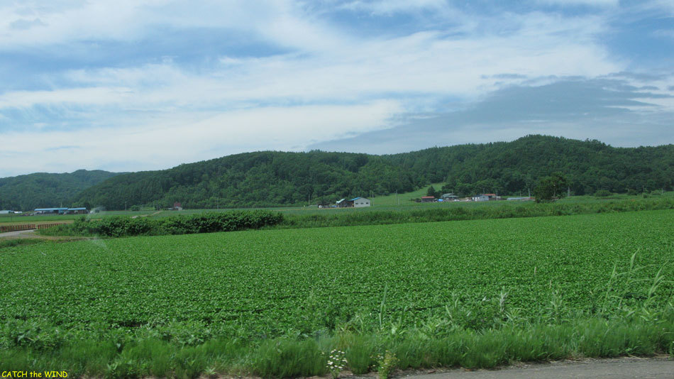 2017北海道の旅　7日目 7/22(土)_c0190971_16355550.jpg