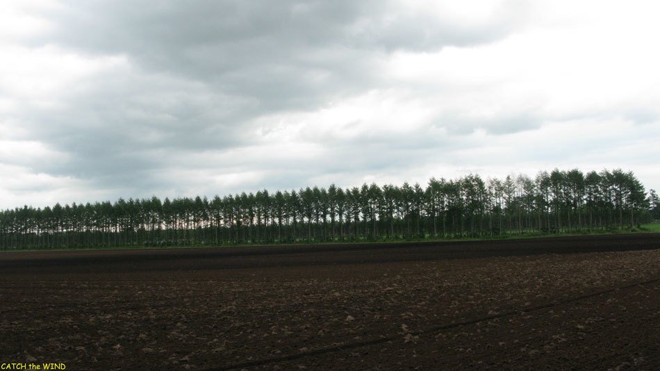 c0190971_16400683.jpg