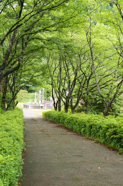 d0327373_17444470.jpg