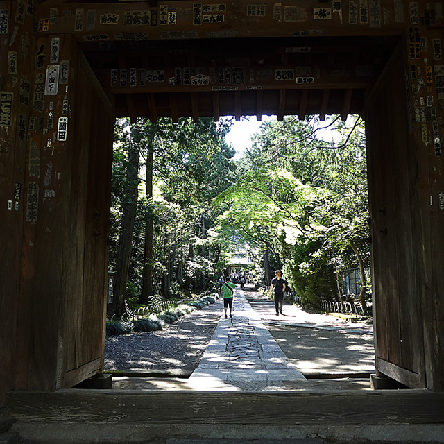 鎌倉五山第三位　寿福寺仏殿公開_d0367875_20471927.jpg