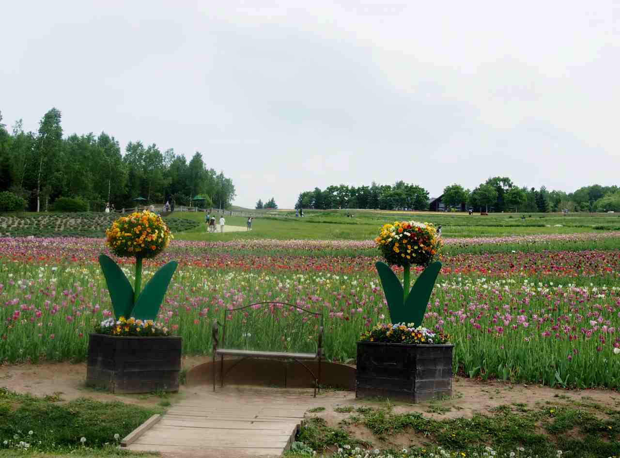 c0183777_13372287.jpg