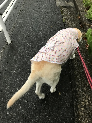 f0315081_21225735.jpeg