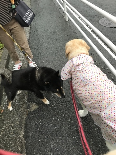 f0315081_21283747.jpeg