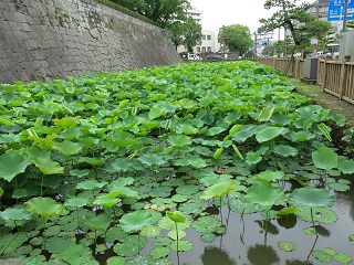 e0130185_1054135.jpg