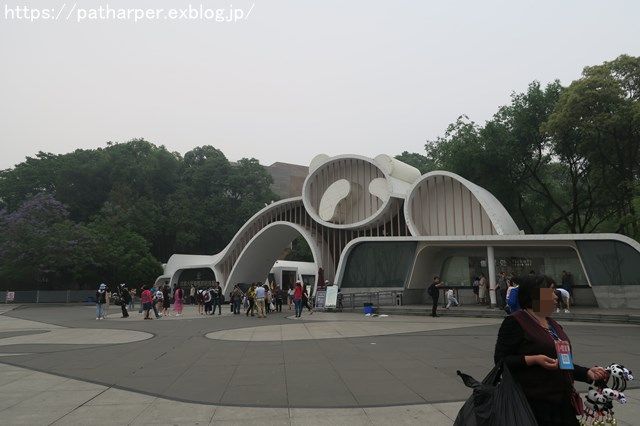 a0052986_736684.jpg