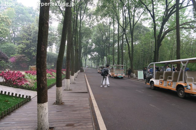 a0052986_7441938.jpg