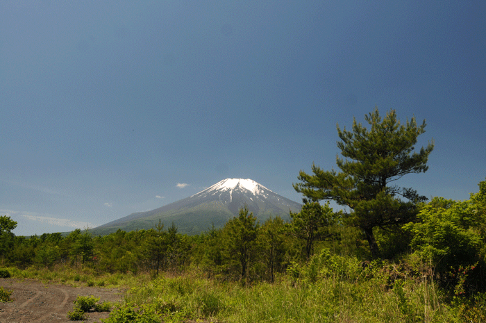山麓近望　＜富士山＞_e0248688_17501213.gif