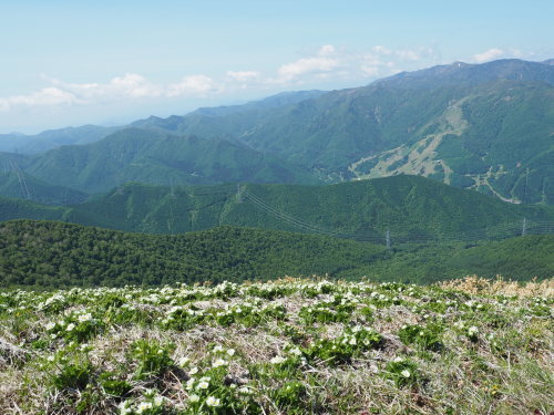 e0015490_10363860.jpg