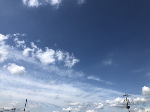 f0215094_21501317.jpeg