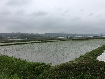f0372998_20593757.jpg