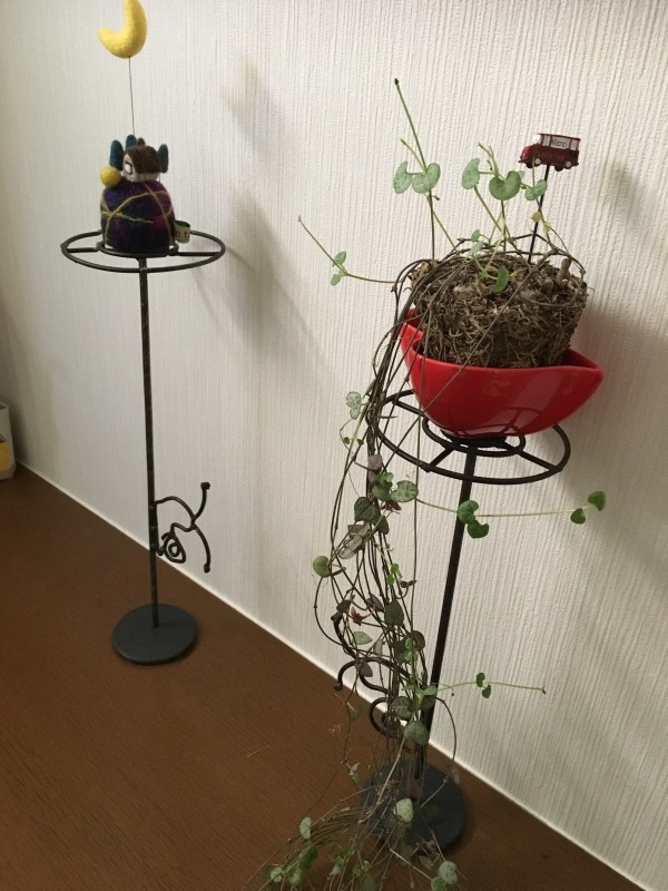 b0220002_23210422.jpeg